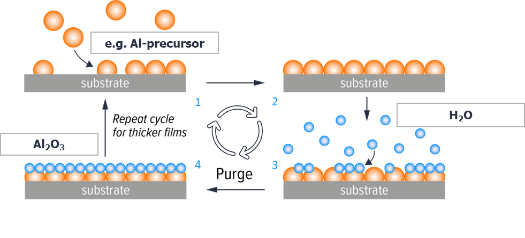 Traditional ALD cycle